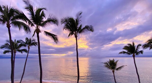 Rannalla, aurinkotuoleja, rantapyyhkeitä