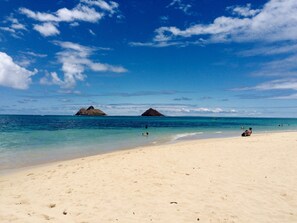 Plage à proximité, chaise longue, serviettes de plage