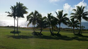 A coastal landscape with palm trees and a road leading to the ocean. - Nice Studio w/ A/C Near Kehena/Pohoiki Beaches and Lava Fields - sleeps 3 (Pahoa)