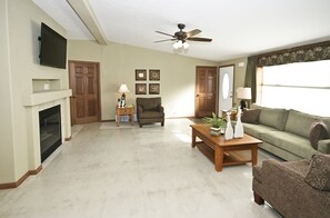 TV, fireplace, DVD player, books