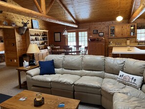 Smart TV, fireplace, DVD player, books