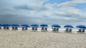 En strand med rader av blå parasoller och strandstolar.