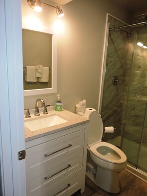 Combined shower/bathtub, toilet paper