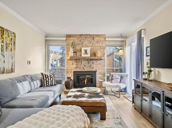 TV connectée, cheminée, lecteur de DVD, livres