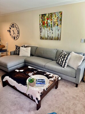 Smart TV, chimenea, reproductor de DVD y libros 