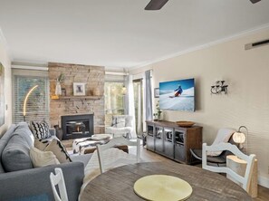 TV connectée, cheminée, lecteur de DVD, livres