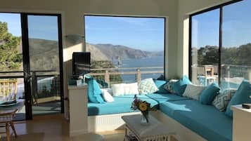 Smart TV, chimenea, reproductor de DVD y libros