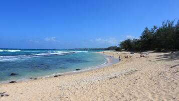 Sun loungers, beach towels