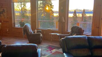 Smart TV, fireplace, DVD player, books