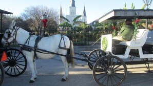 A horse-drawn carriage with a person seated, a white horse, and a building with spires in the background.