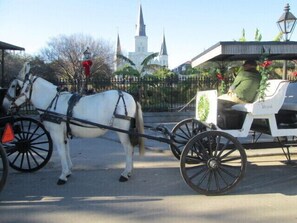 Property grounds - New Orleans Patio Apartment, 3.5 miles to the French Quarter (Arabi)