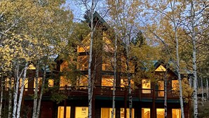 A log cabin with multiple windows and a stone foundation, surrounded by birch trees.