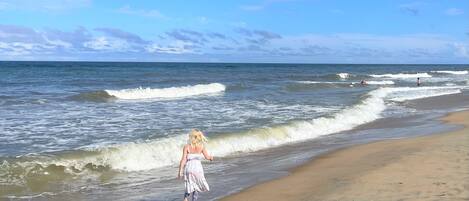 Camastros y toallas de playa