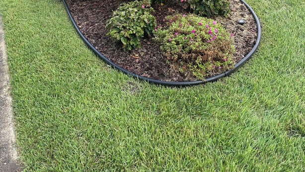 A landscaped garden bed with various plants and flowers. - Perfect Getaway - 2 minute walk straight to the Beach (Kill Devil Hills)