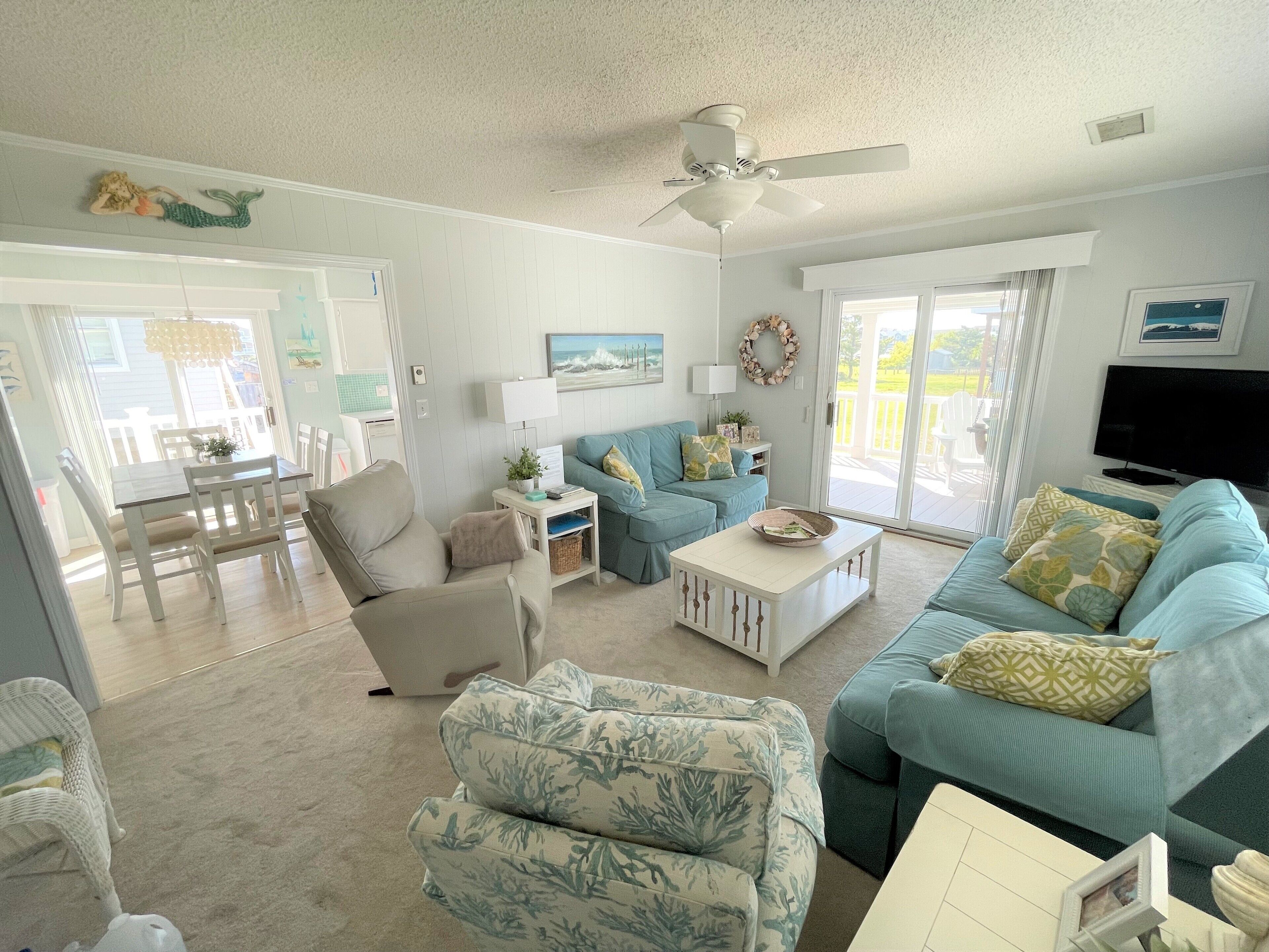 Smart TV, DVD player, books, video library