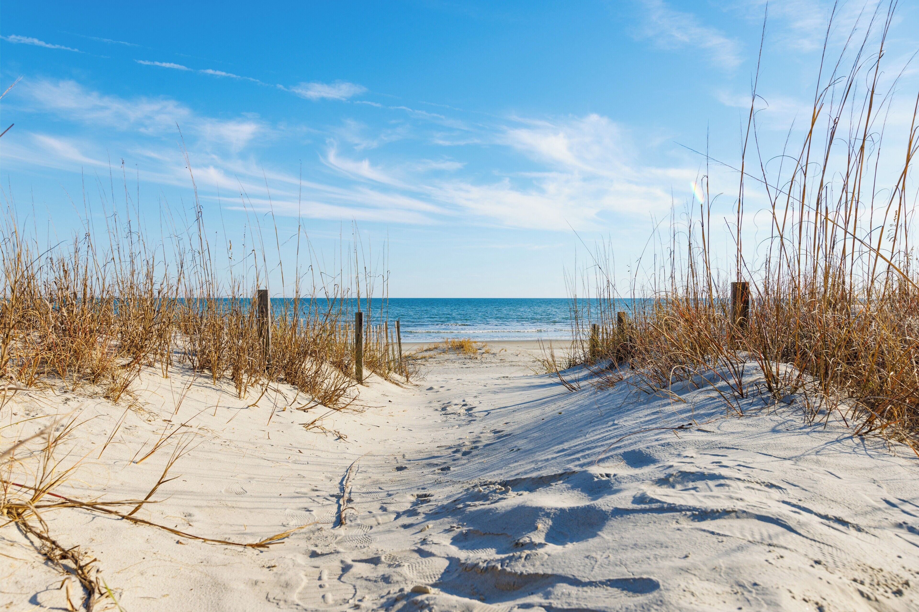 Plage, chaises longues, serviettes de plage