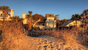 A beachfront property with a sandy path leading to a house surrounded by palm trees and other vegetation.