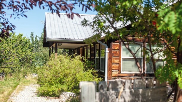 A cabin with a metal roof, surrounded by dense greenery and a gravel path.