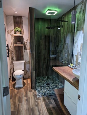 Shower, jetted bath, hair dryer, towels - Where City Meets Tranquility (Minnetonka)