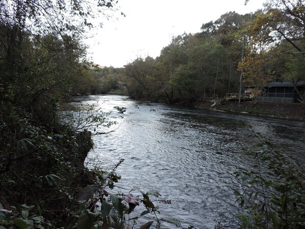 A river flowing through a wooded area with a building on the right bank. - RiverFront, WI-FI /Cell, Pet Friendly, Folk School (Murphy)