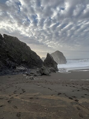 Beach nearby, sun loungers, beach towels - Perched above the Pacific Coast (Bodega Bay)
