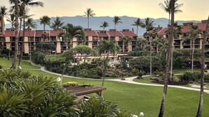 Un resort con edificios de varios pisos, palmeras y un césped bien cuidado.