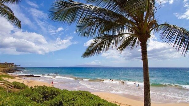 Una playa con palmeras, olas del océano y cielo despejado.
