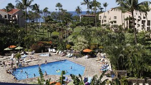 Un resort con piscina, palmeras y vista al océano.