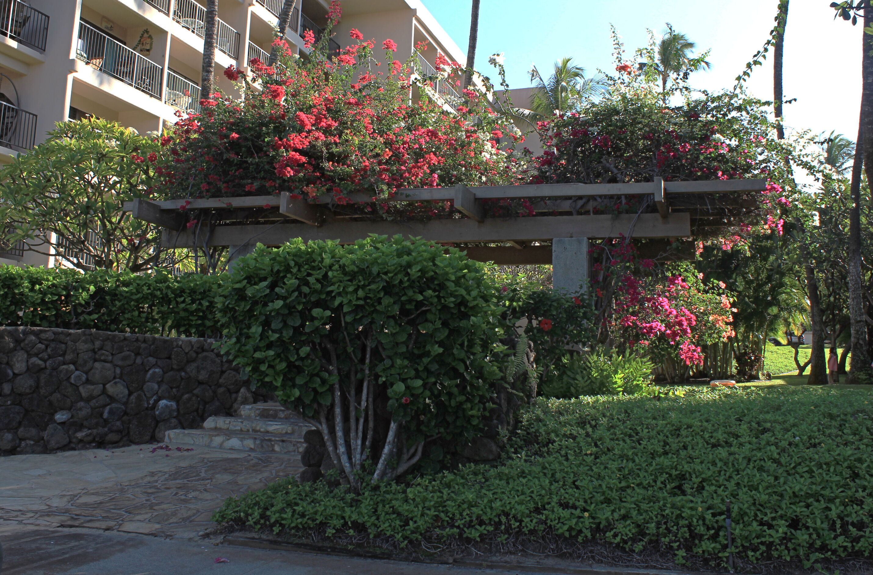 Jardines del alojamiento
