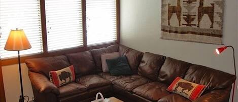 Smart TV, fireplace, DVD player, stereo