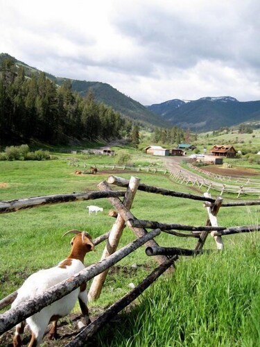 Log Cabin On Historic Yellowstone Park Ranch on the McDonald Ranch