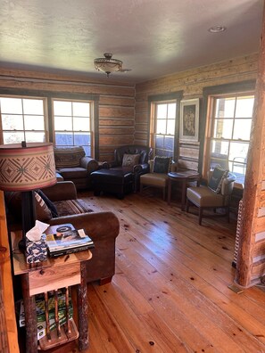TV, DVD player, books, video library