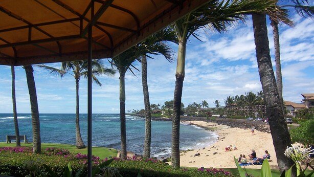 A beach view with palm trees, a gazebo, and a hotel in the background.