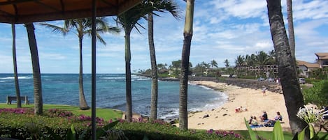 Plage, chaises longues, serviettes de plage