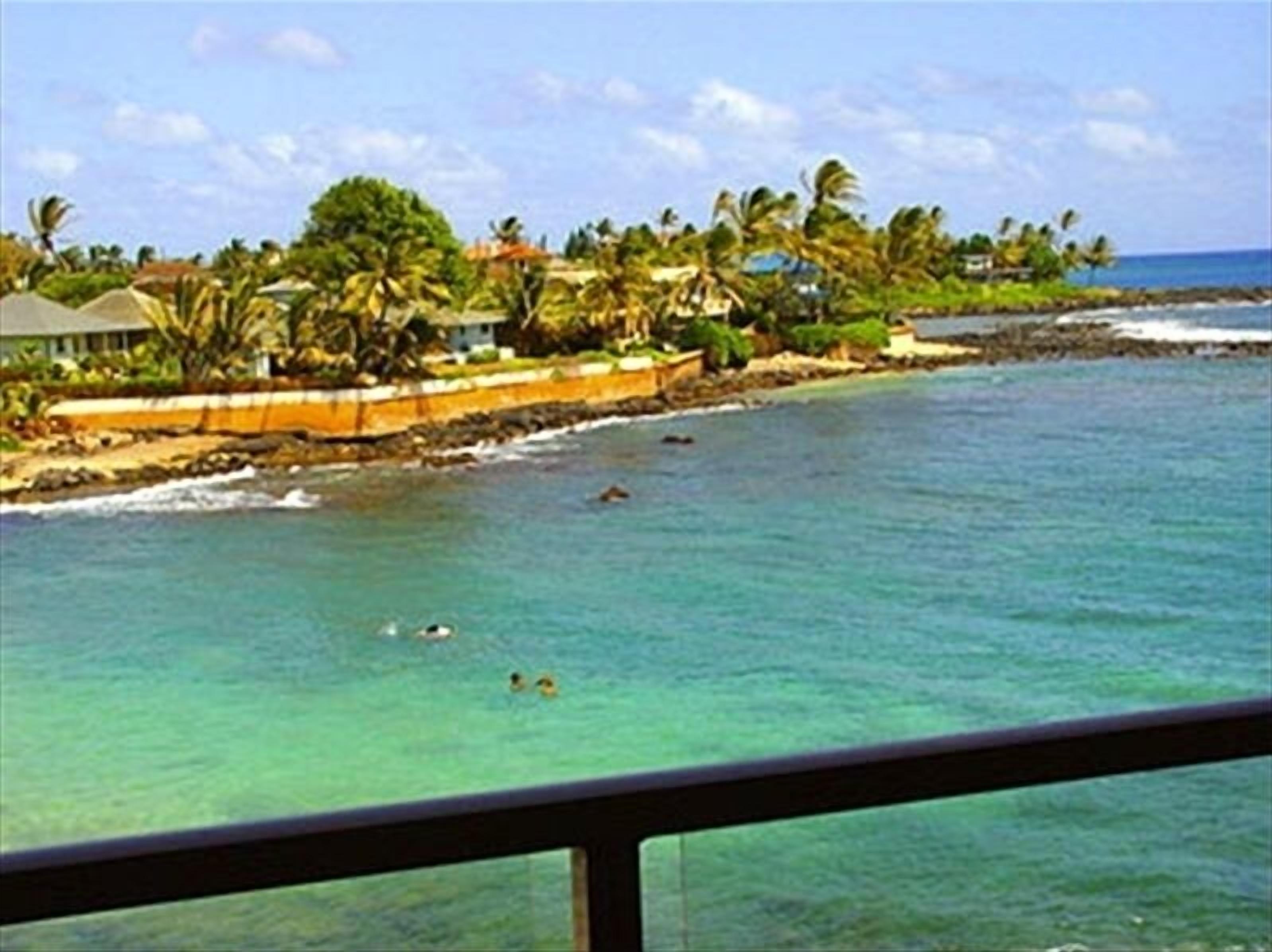 A coastal view with clear turquoise waters, palm trees, and a rocky shoreline.