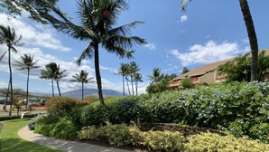 A landscaped garden with palm trees, a pathway, and a building with a tiled roof. - Hawaiian Dream. Maui Kamaole. Special Rates July August (Kihei)