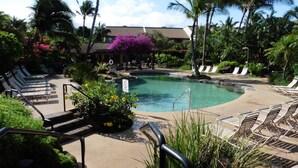 Un espace piscine avec des chaises longues, un panneau indiquant qu’il est interdit de plonger, et une végétation tropicale.