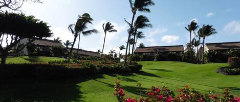 Àrea exterior de l'allotjament