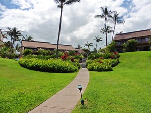 Property grounds - Maui Kamaole B101 - Gorgeous designer condo! Modern luxury and great rates! (Kihei)