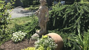 Jardí amb una estàtua, diverses plantes i una construcció de pedra.