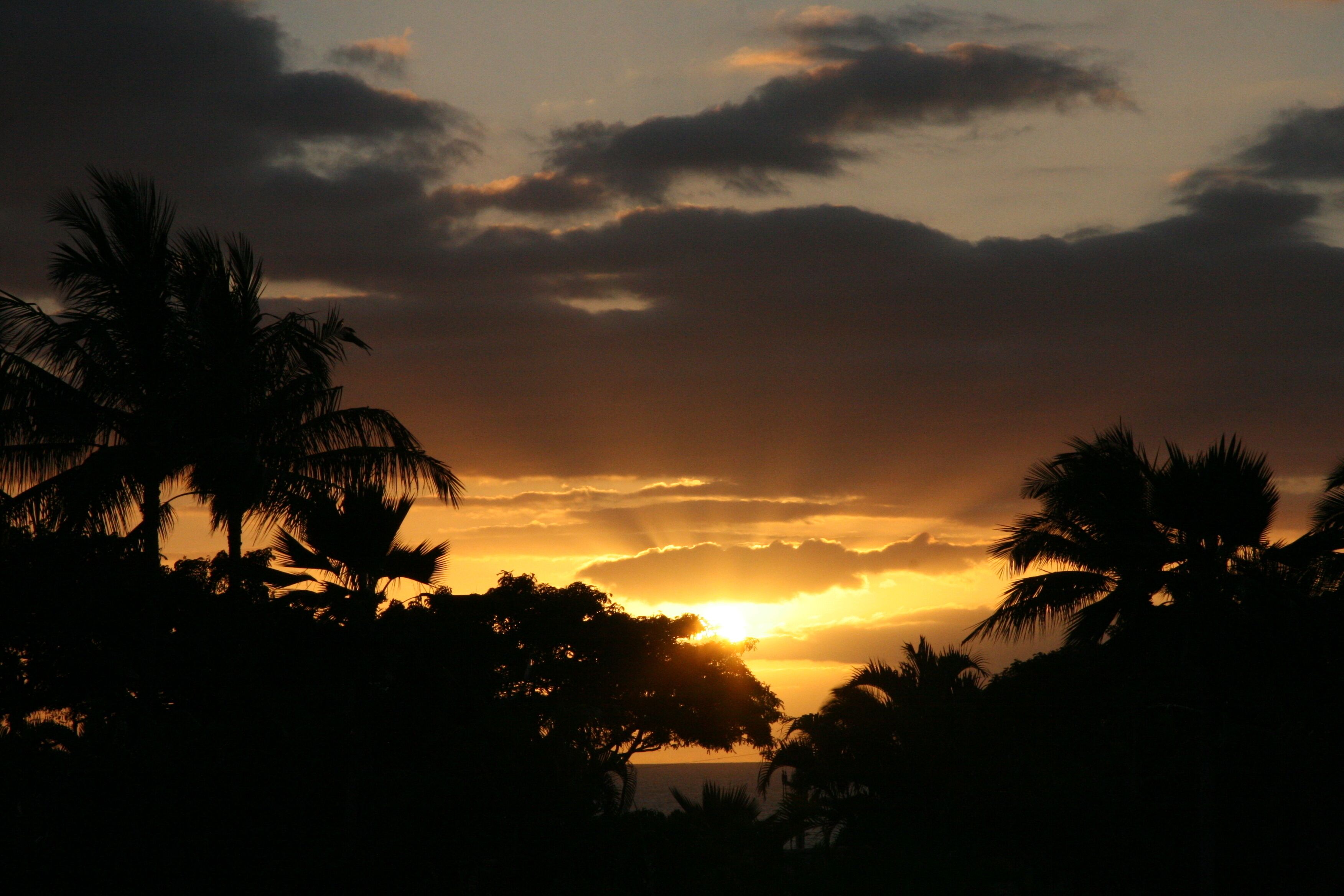 Beachfront at Kana'I a Nalu - FREE PRIVATE WIFI! - Photo 24