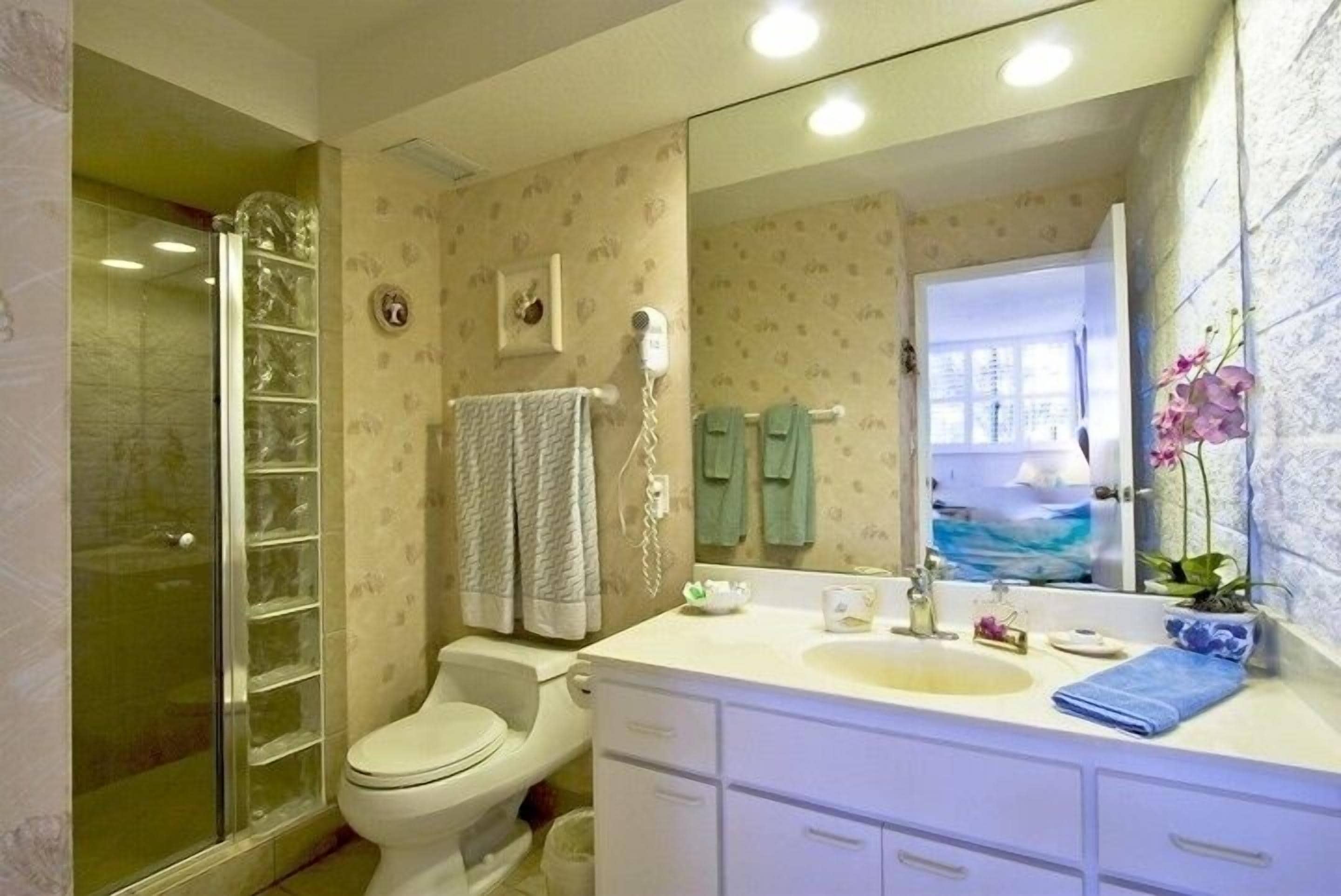 Shower, jetted tub, hair dryer, towels