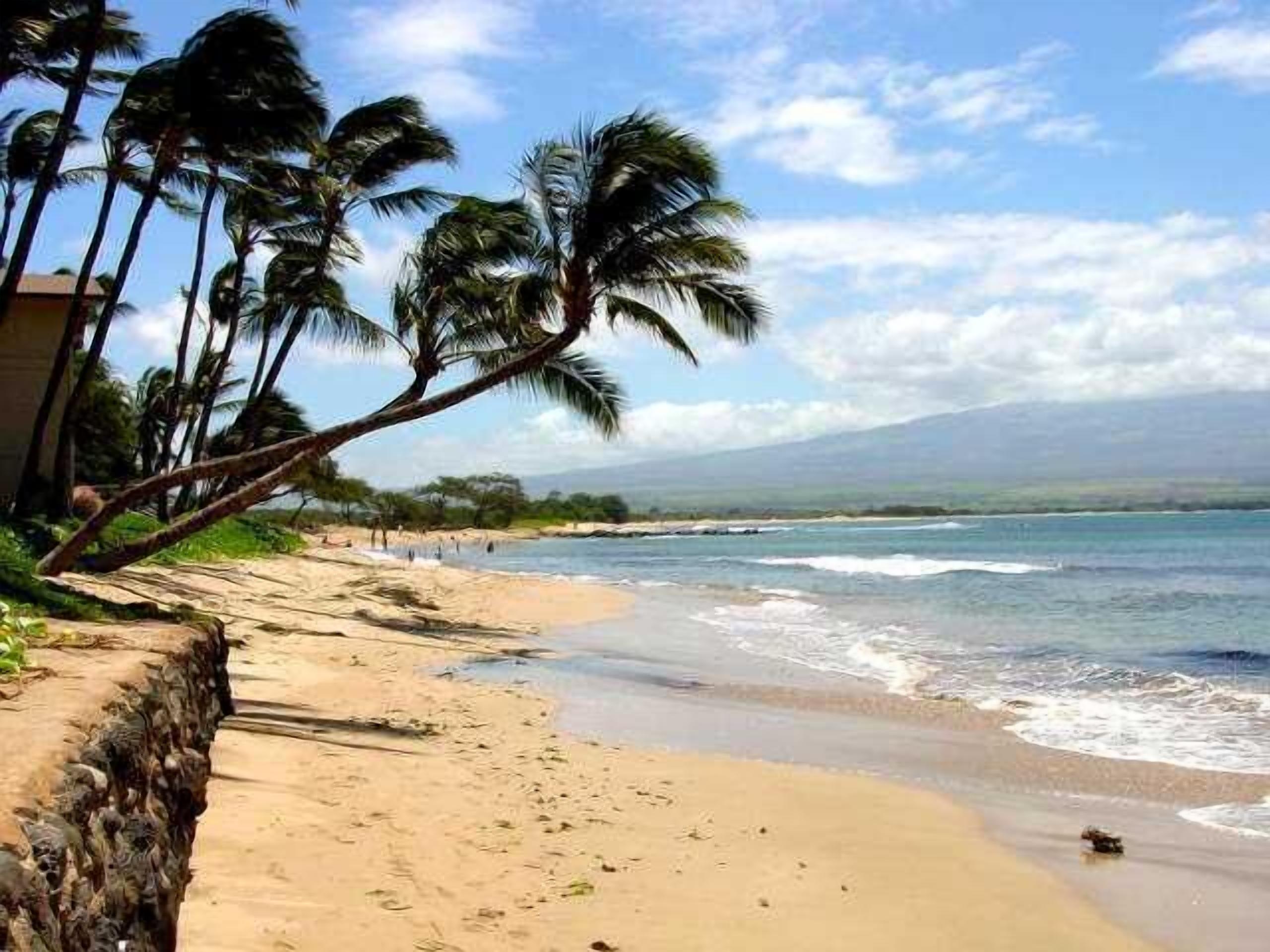 On the beach, beach towels
