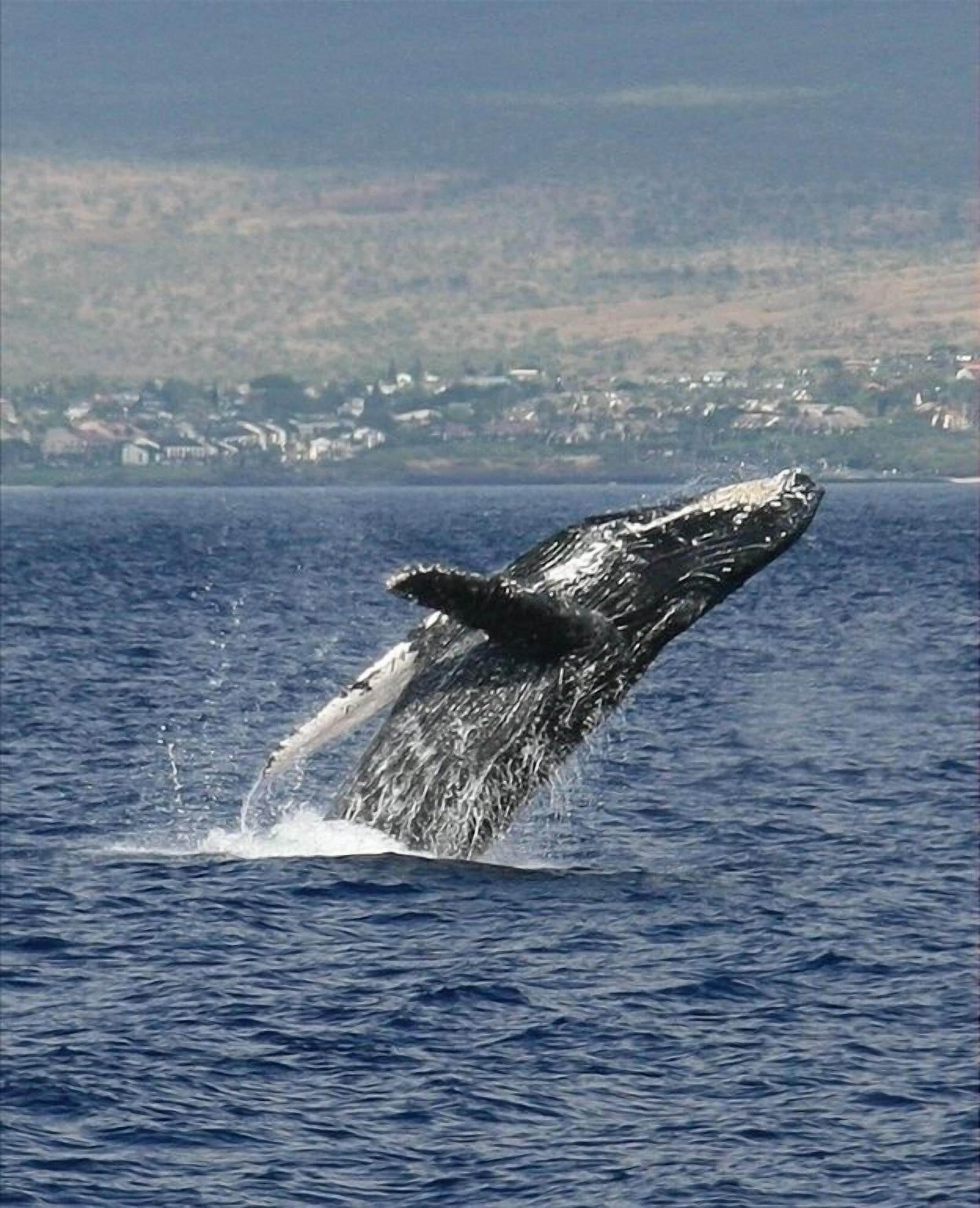 On the beach, beach towels