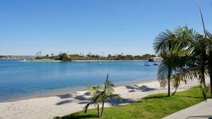 A beach with clear blue water, a sandy shore, and palm trees. - Casa Ballena, Luxury On The Bay! (San Diego)