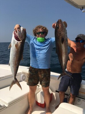 Unclassified image, 5 of 31, button