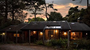 A rustic wooden cabin with multiple windows, surrounded by trees and a gravel path. - Woodhaven | MCM Inspired Getaway w/ Amazing Views (Inverness)