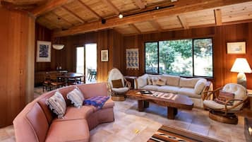 TV, fireplace, books, music library