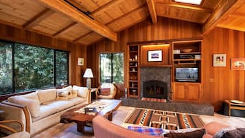 TV, fireplace, books, music library