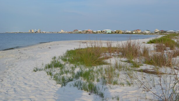 A beach with sand and sparse vegetation, a calm sea, and a distant shoreline with buildings. - 30 Steps to Sand and Water! Panoramic Sunset and Water Views! Serenity! Pier! (Navarre)